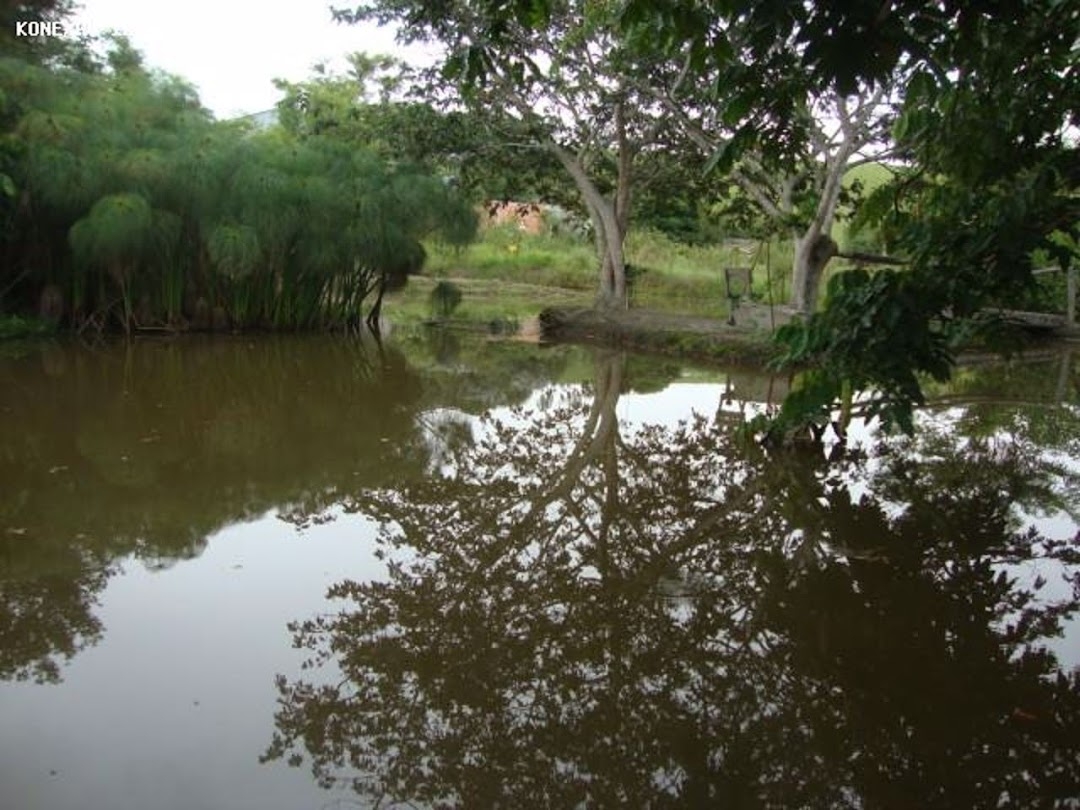 Chácara em Paraibuna/São Paulo — Ref 0NB58V — Imagem 13