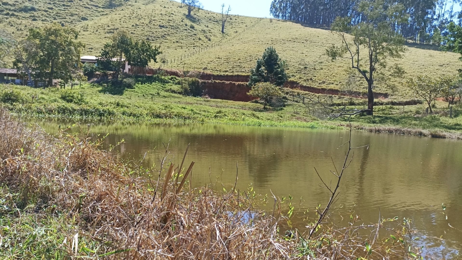 Sítio, 2 quartos, 250 m² - Foto 2