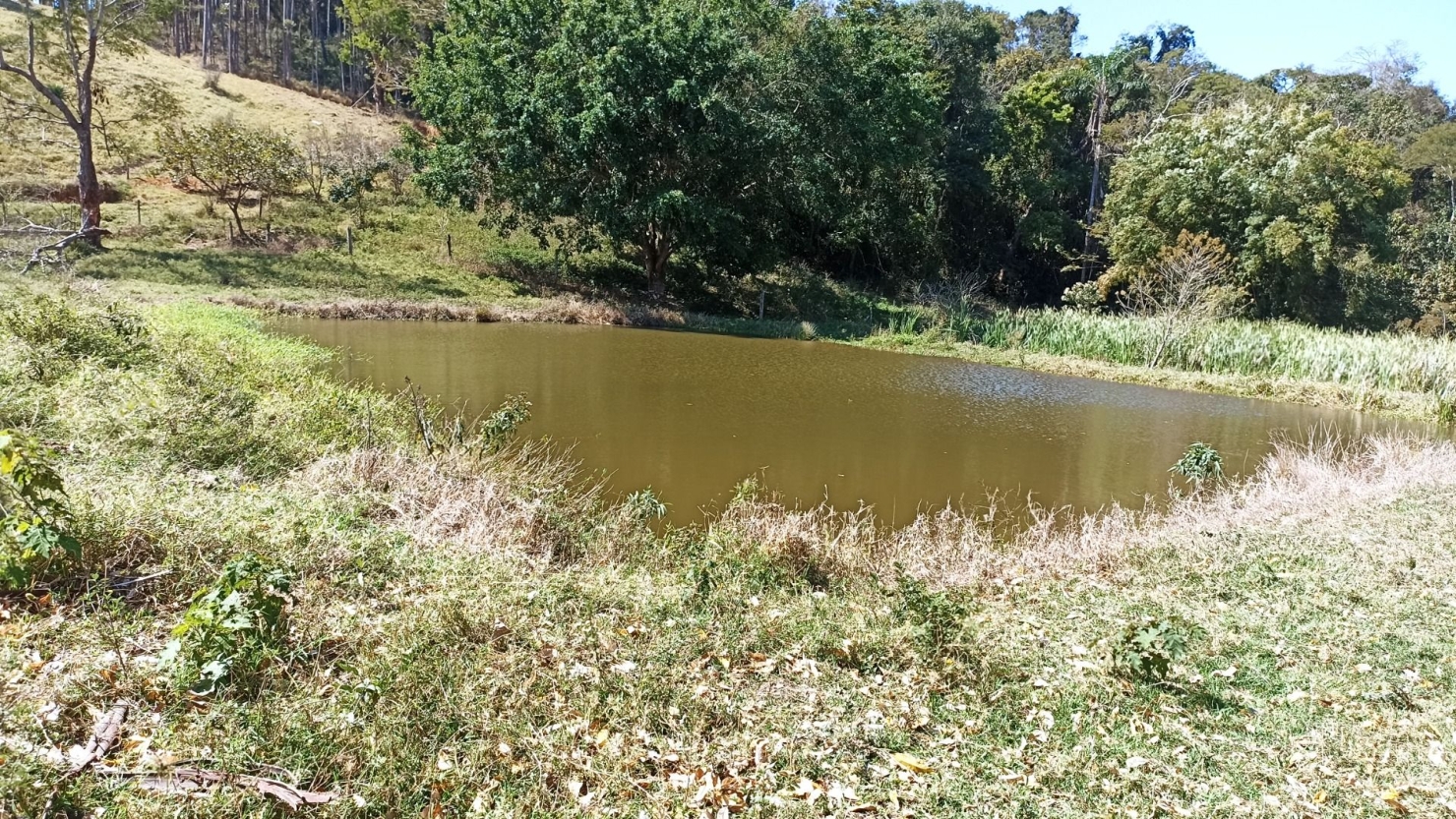 Sítio, 2 quartos, 250 m² - Foto 3