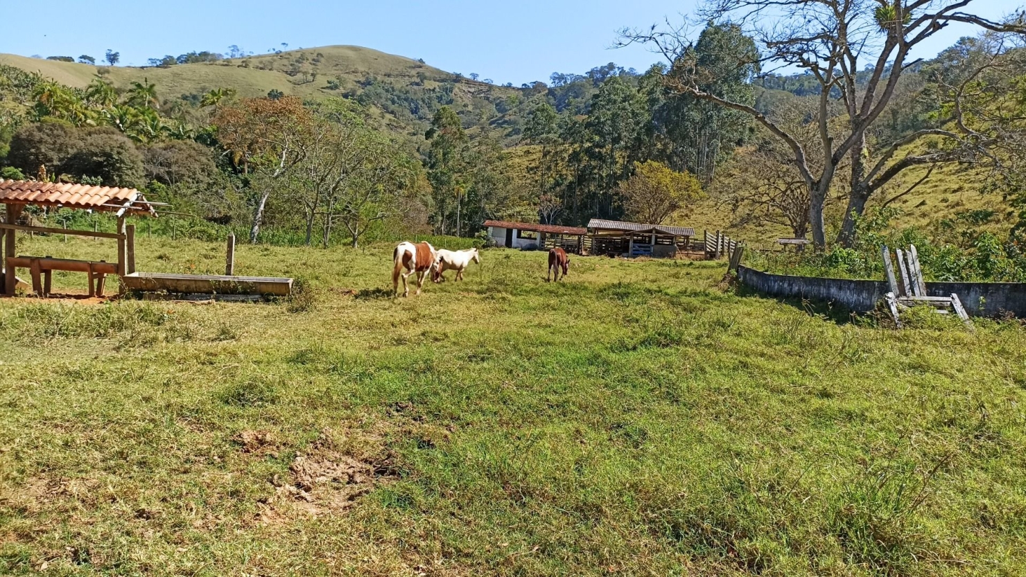 Sítio, 2 quartos, 250 m² - Foto 6