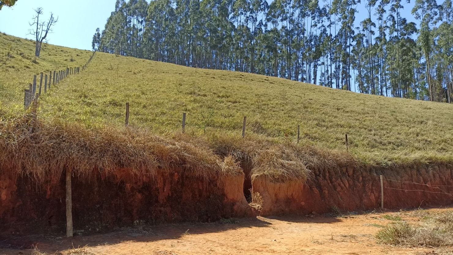 Sítio, 2 quartos, 250 m² - Foto 10