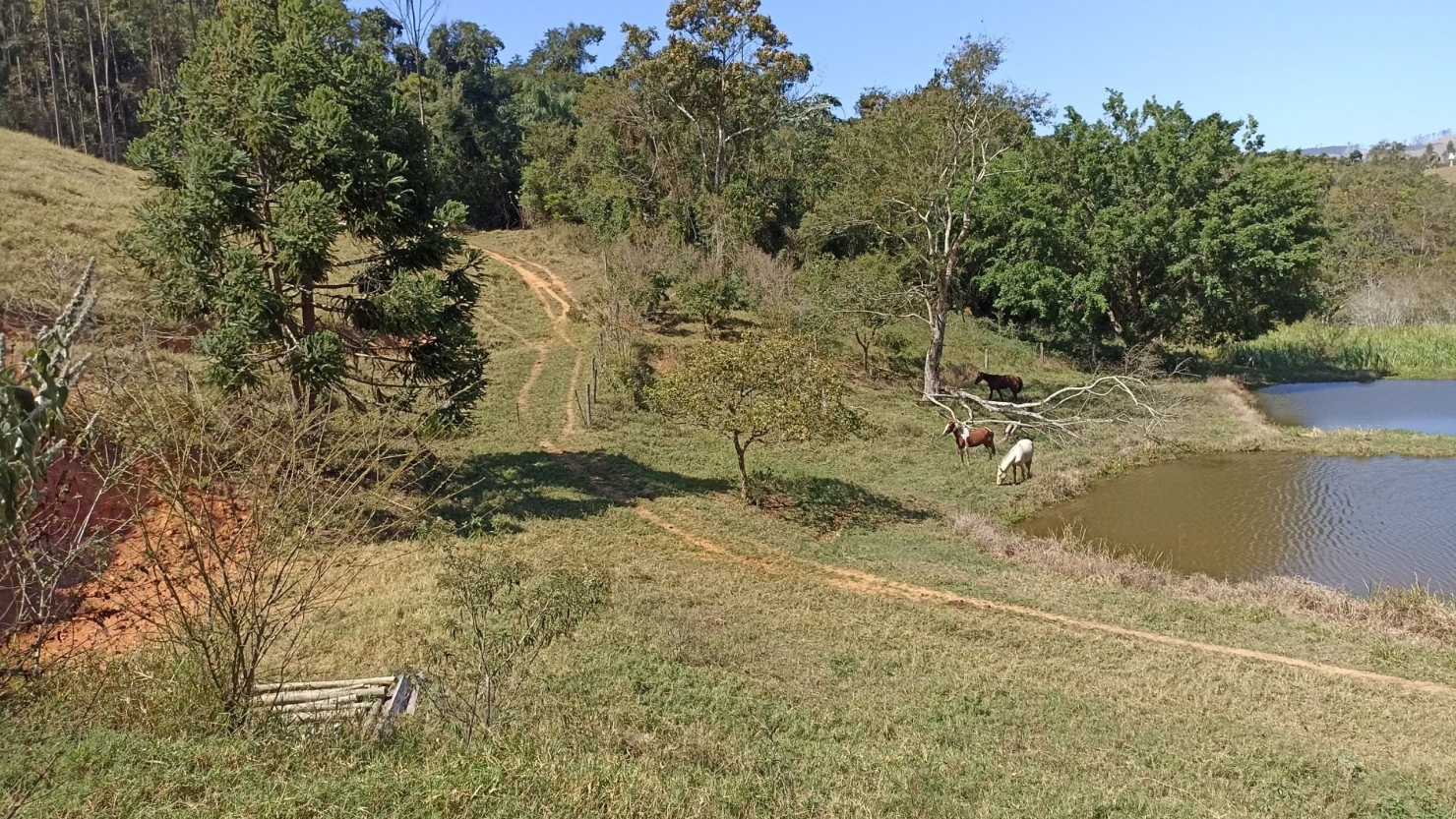 Sítio, 2 quartos, 250 m² - Foto 11