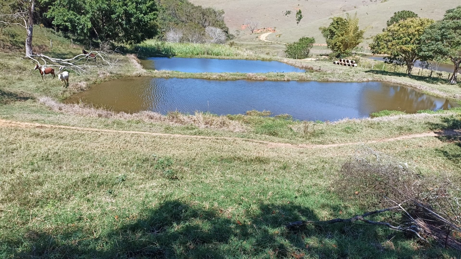 Sítio, 2 quartos, 250 m² - Foto 13