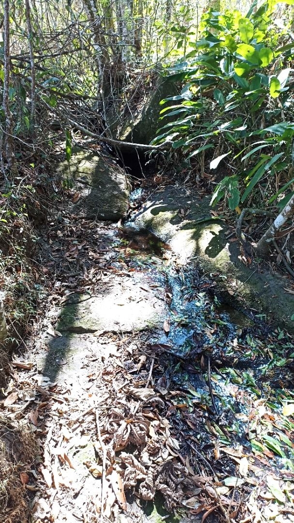 Sítio, 2 quartos, 250 m² - Foto 21