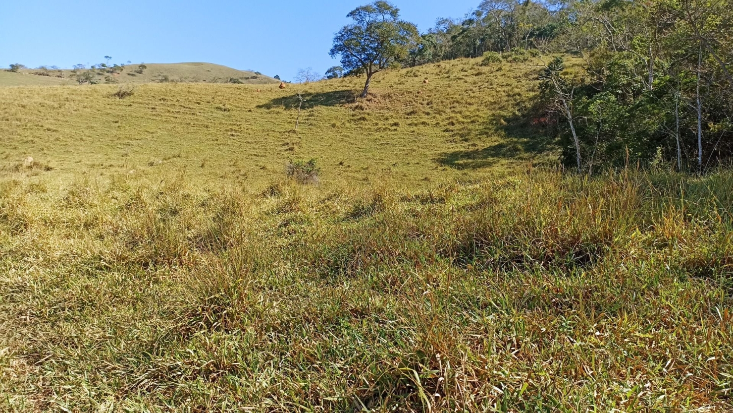 Sítio, 2 quartos, 250 m² - Foto 22