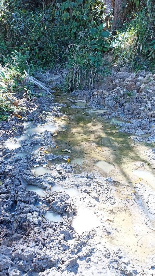 Sítio, 2 quartos, 250 m² - Foto 23