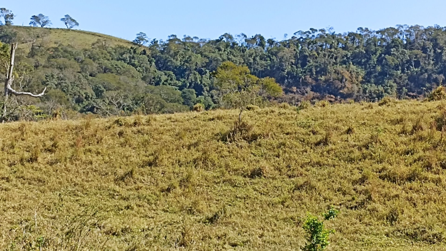 Sítio, 2 quartos, 250 m² - Foto 24