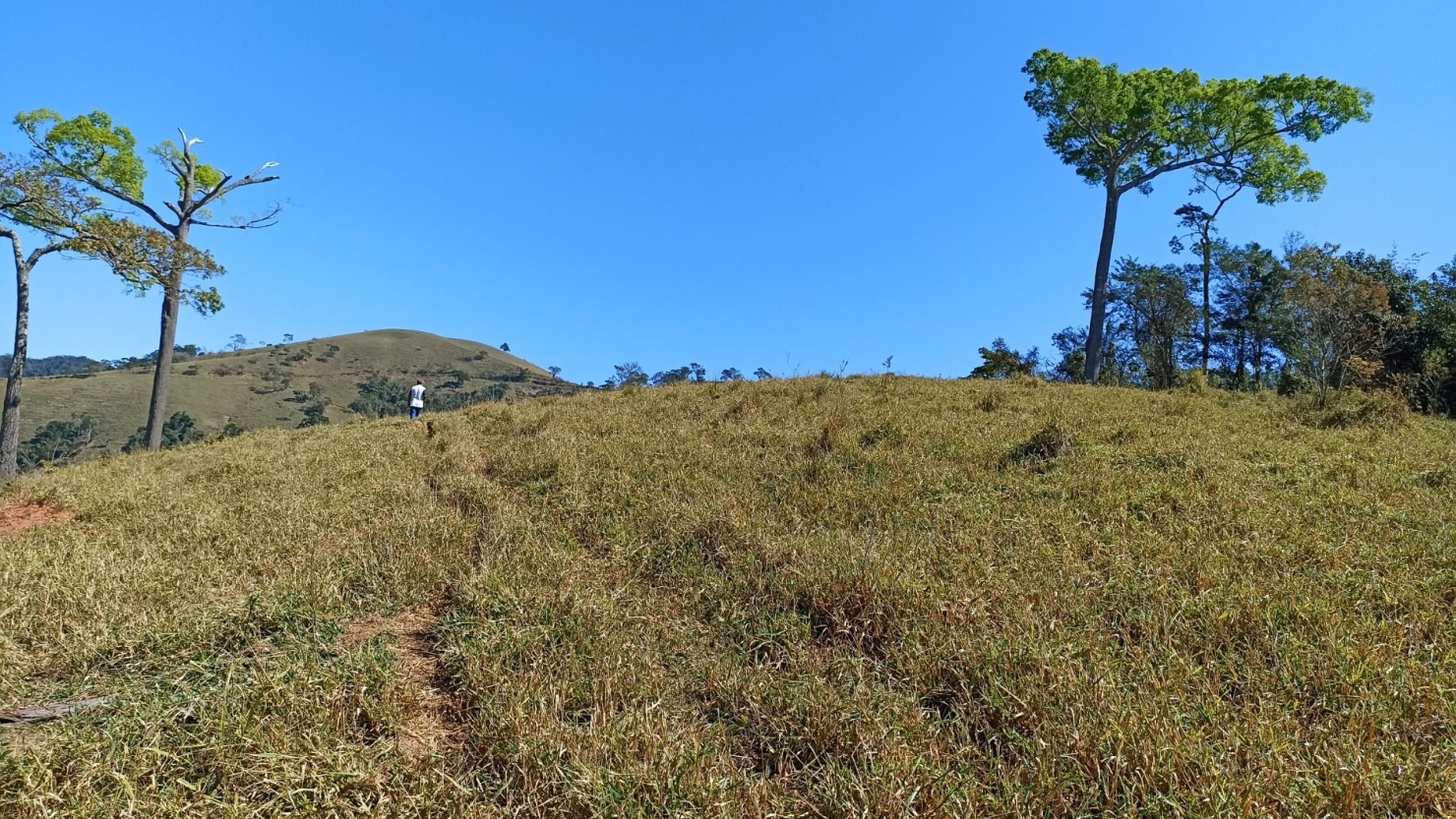 Sítio, 2 quartos, 250 m² - Foto 25