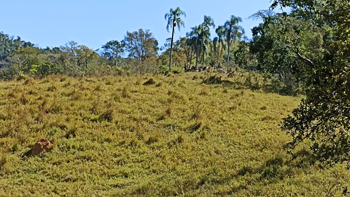 Sítio, 2 quartos, 250 m² - Foto 26