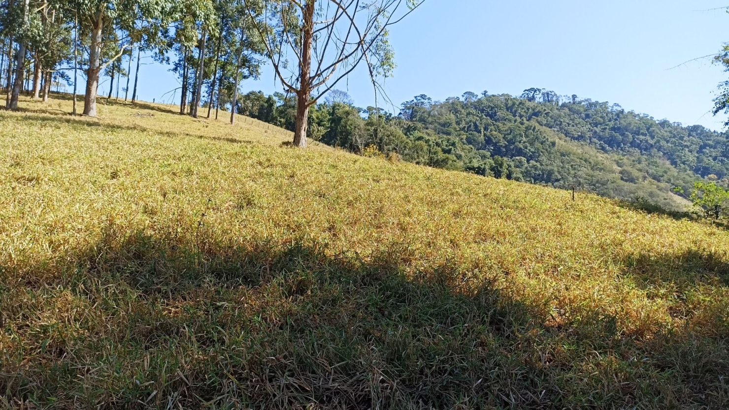 Sítio, 2 quartos, 250 m² - Foto 27