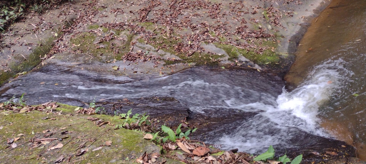 Sítio, 2 quartos, 100 m² - Foto 24