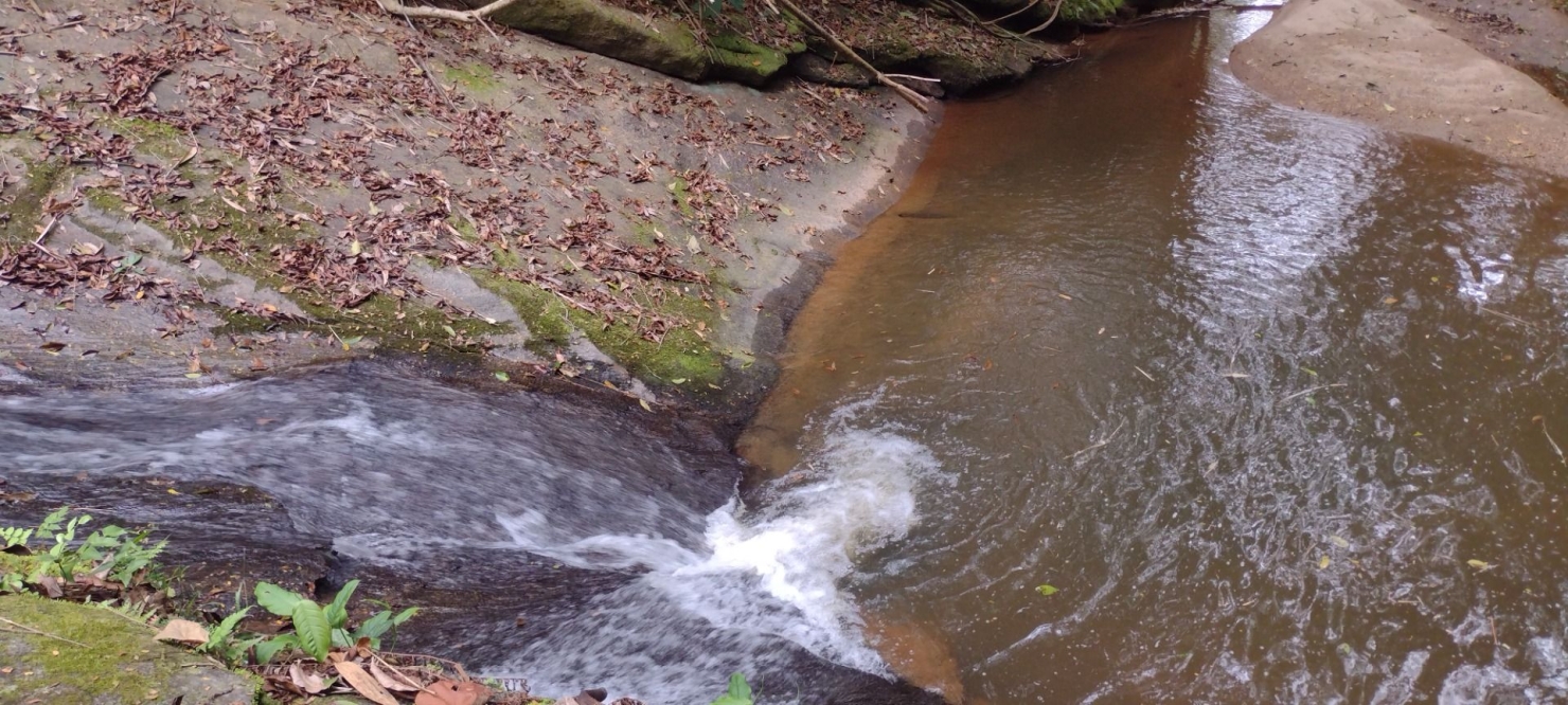 Sítio, 2 quartos, 100 m² - Foto 26