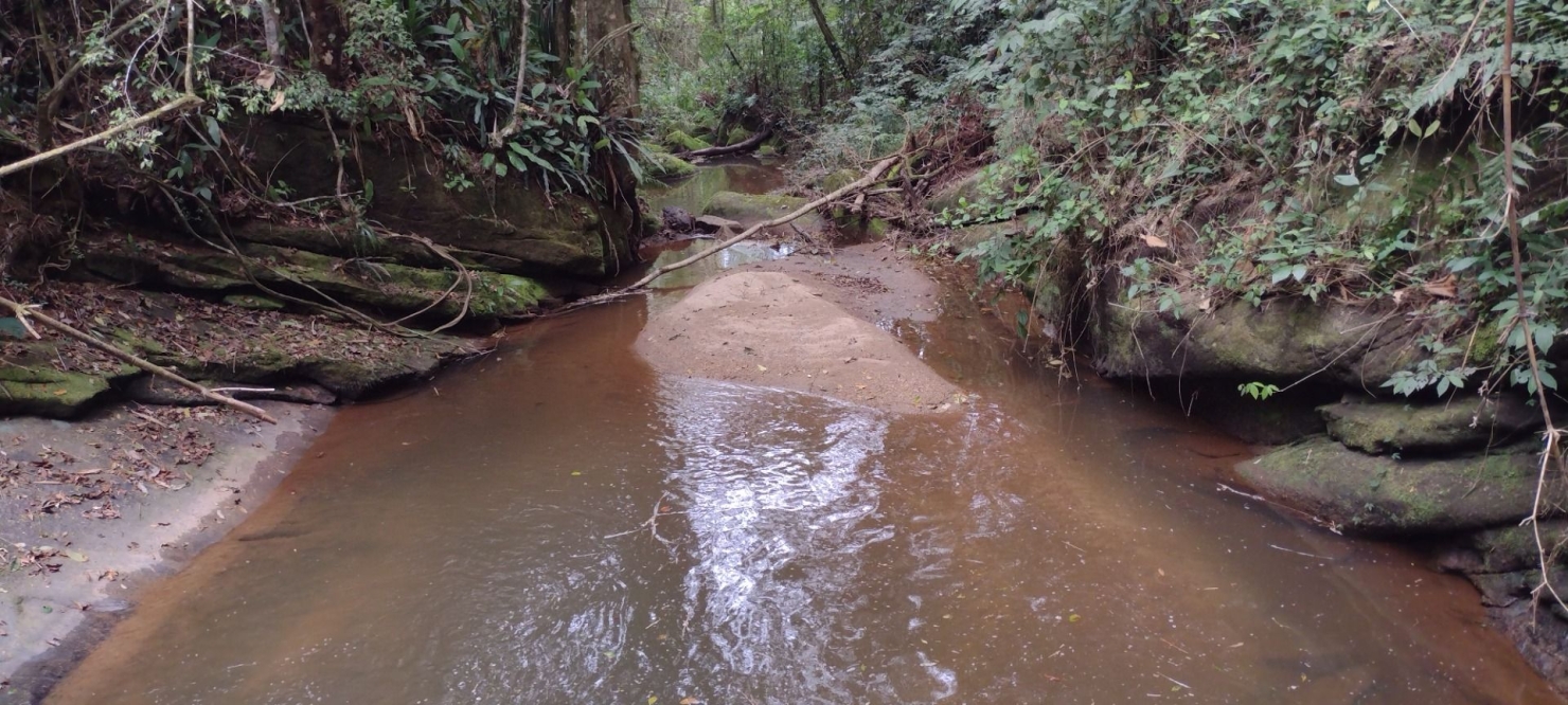 Sítio, 2 quartos, 100 m² - Foto 33