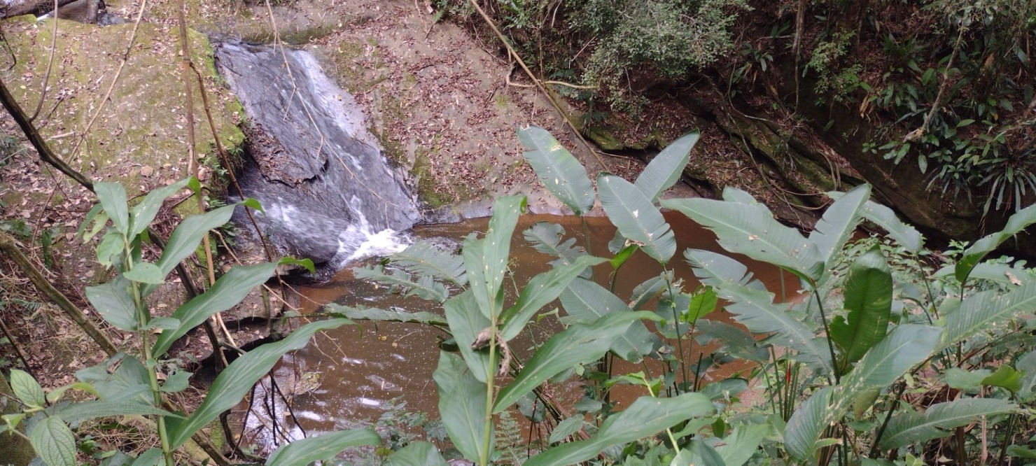 Sítio, 2 quartos, 100 m² - Foto 29