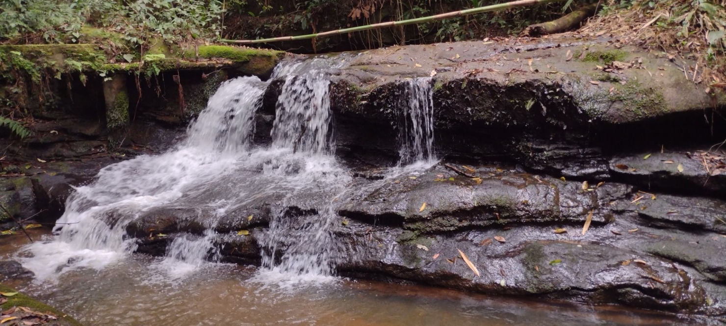 Sítio, 2 quartos, 100 m² - Foto 28