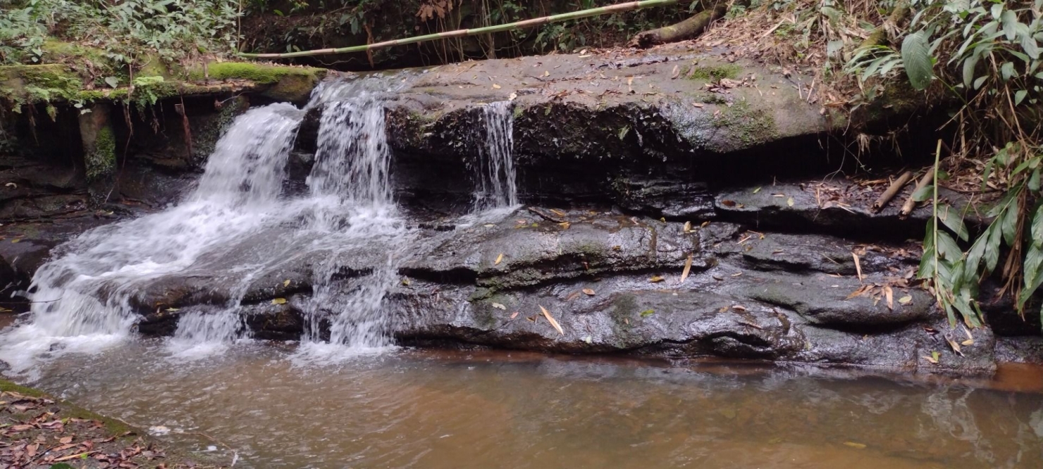 Sítio, 2 quartos, 100 m² - Foto 30