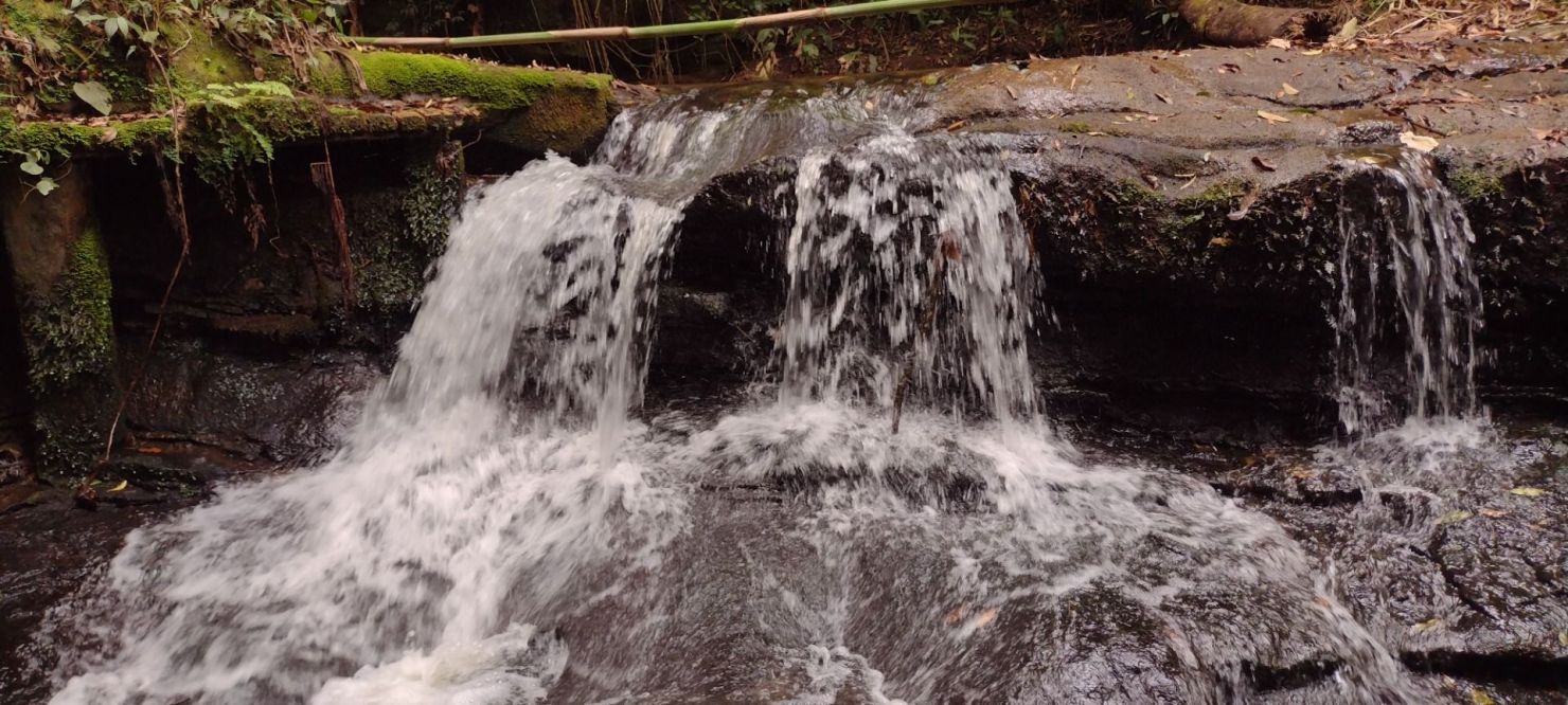 Sítio, 2 quartos, 100 m² - Foto 1