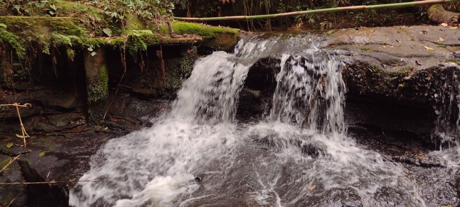 Sítio, 2 quartos, 100 m² - Foto 31