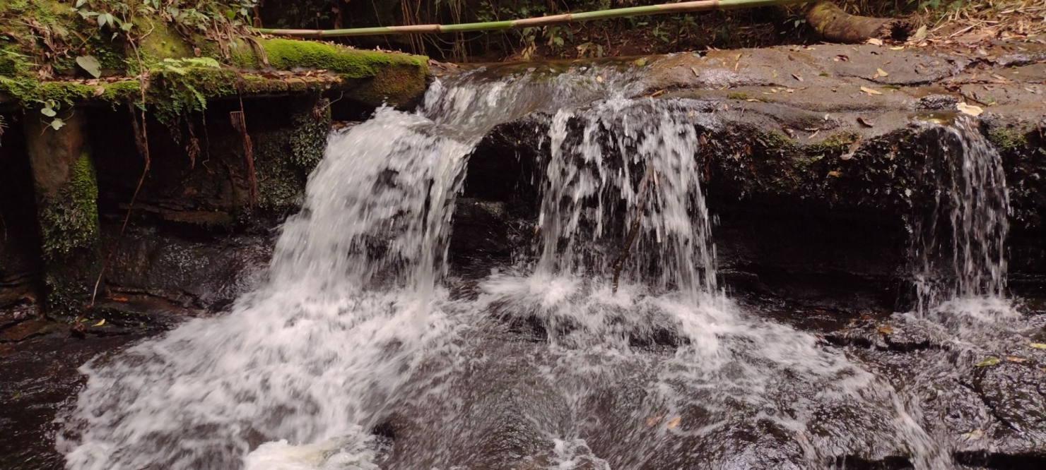 Sítio, 2 quartos, 100 m² - Foto 32