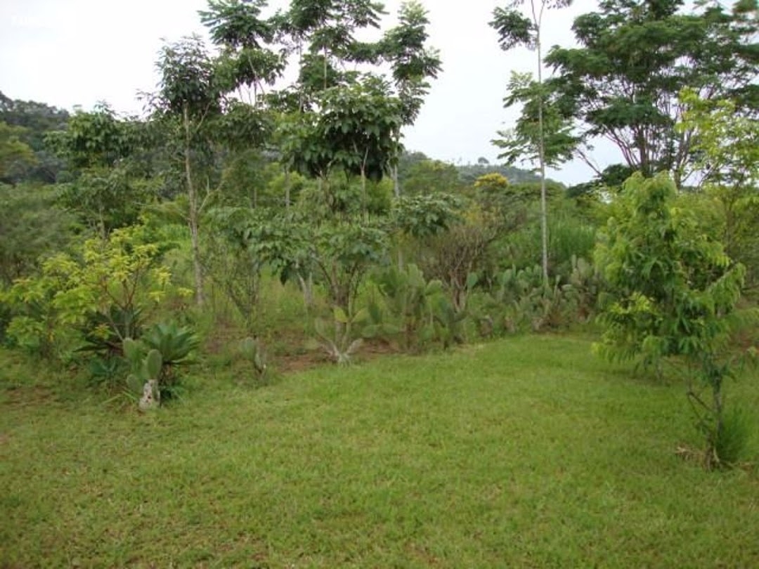 Chácara em Paraibuna/São Paulo — Ref 0NB58V — Imagem 34