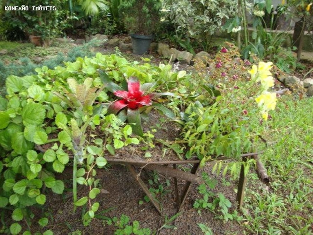 Chácara em Paraibuna/São Paulo — Ref 0NB58V — Imagem 50