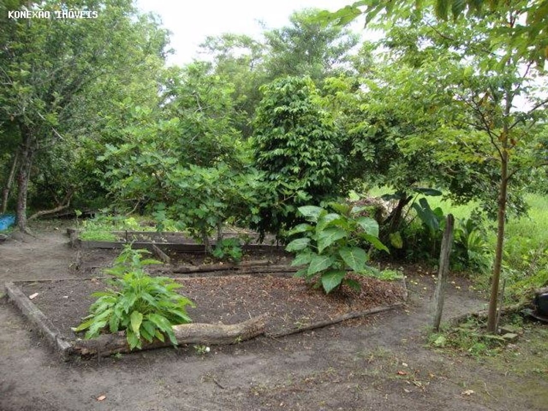 Chácara em Paraibuna/São Paulo — Ref 0NB58V — Imagem 47