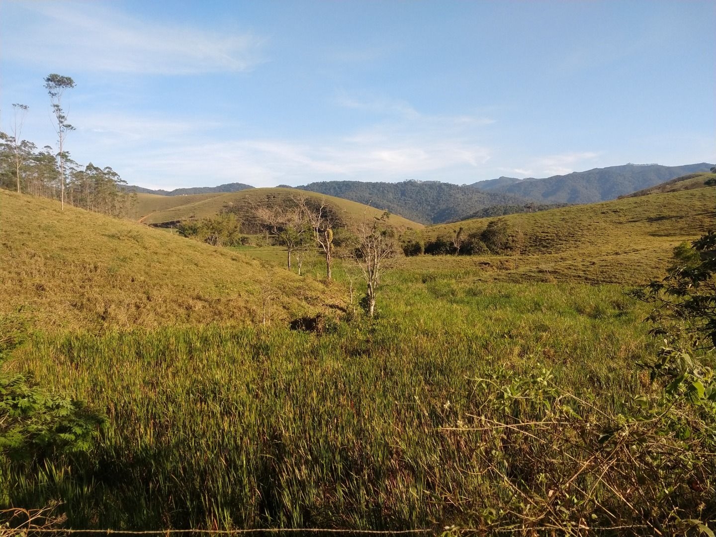 Fazenda, 150 m² - Foto 5