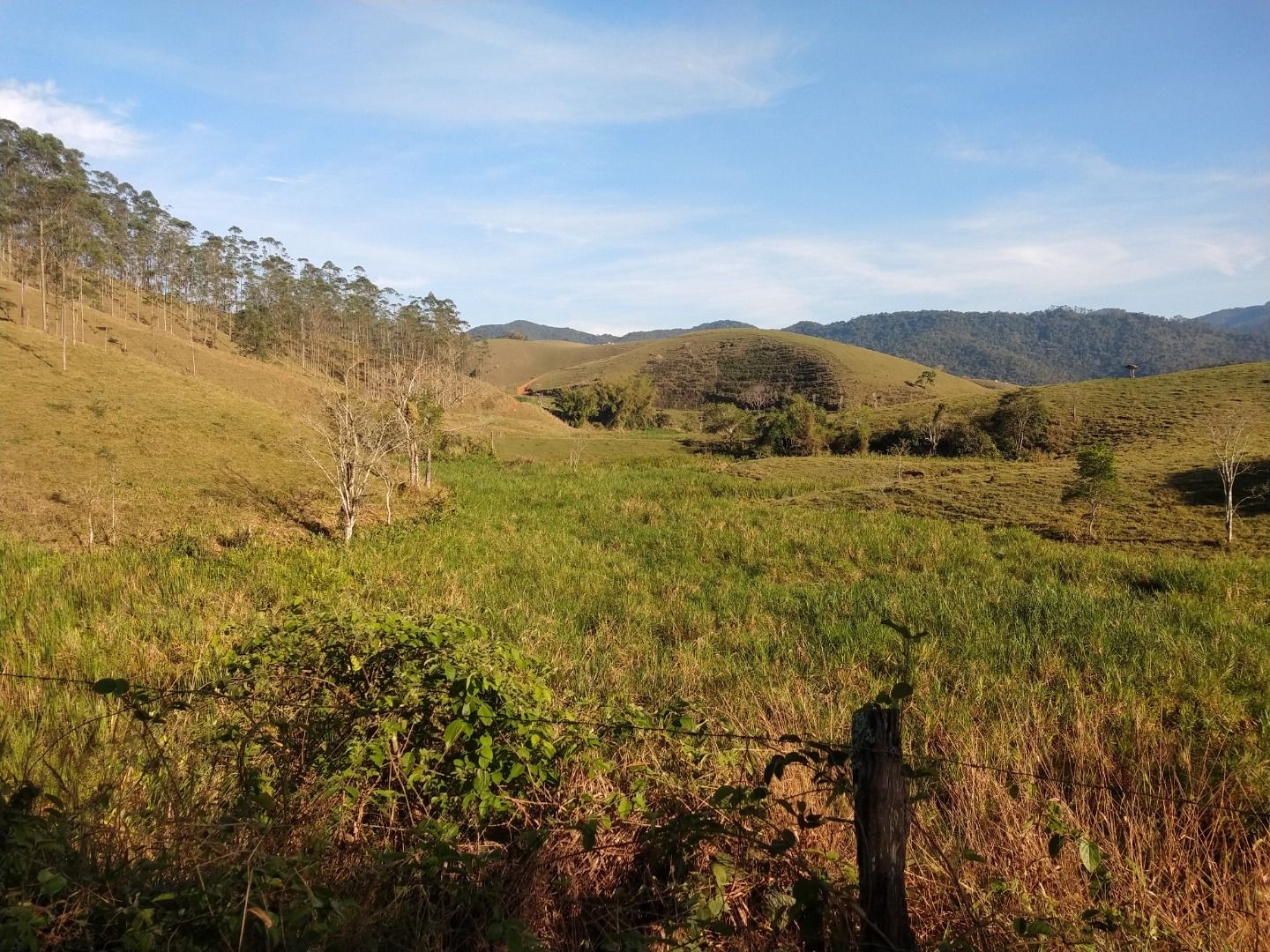 Fazenda, 150 m² - Foto 6