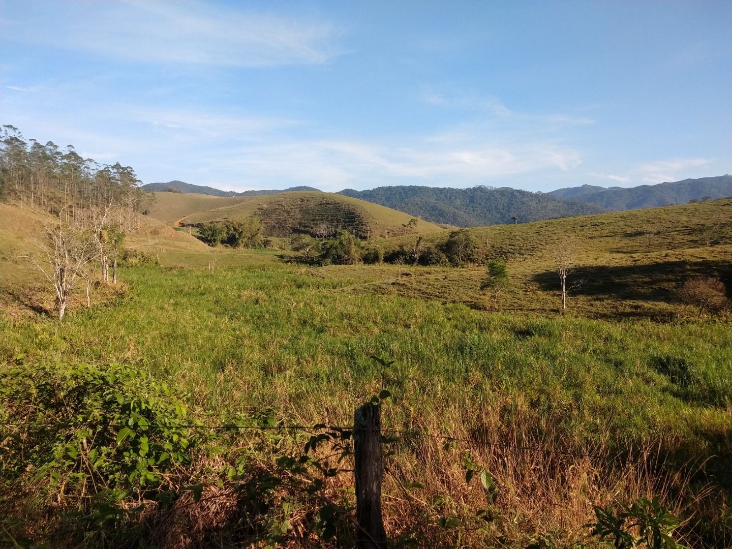 Fazenda, 150 m² - Foto 7