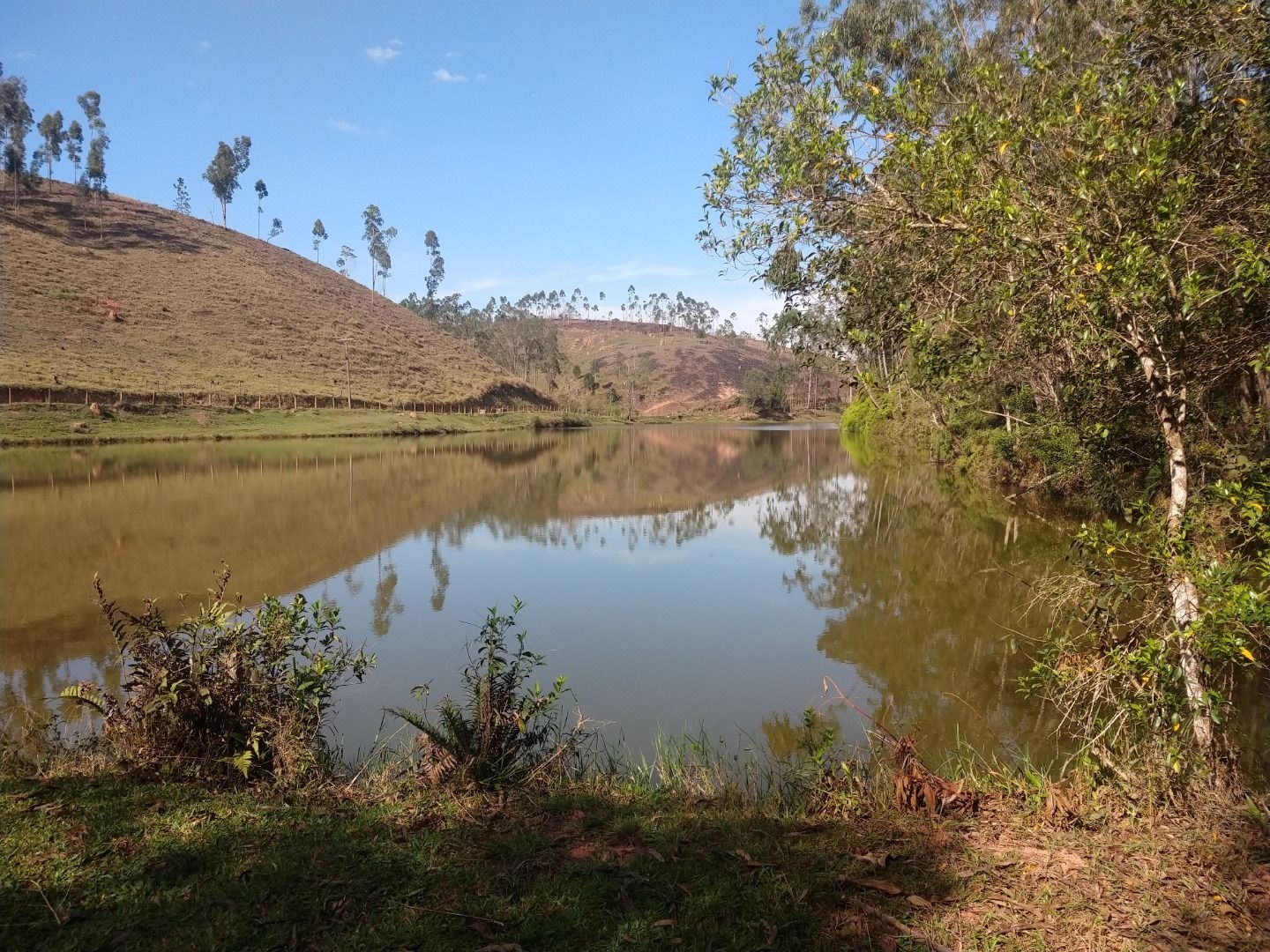 Fazenda, 150 m² - Foto 8