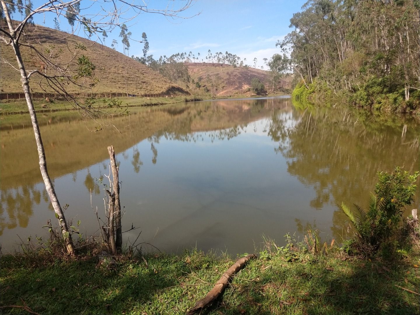 Fazenda, 150 m² - Foto 10