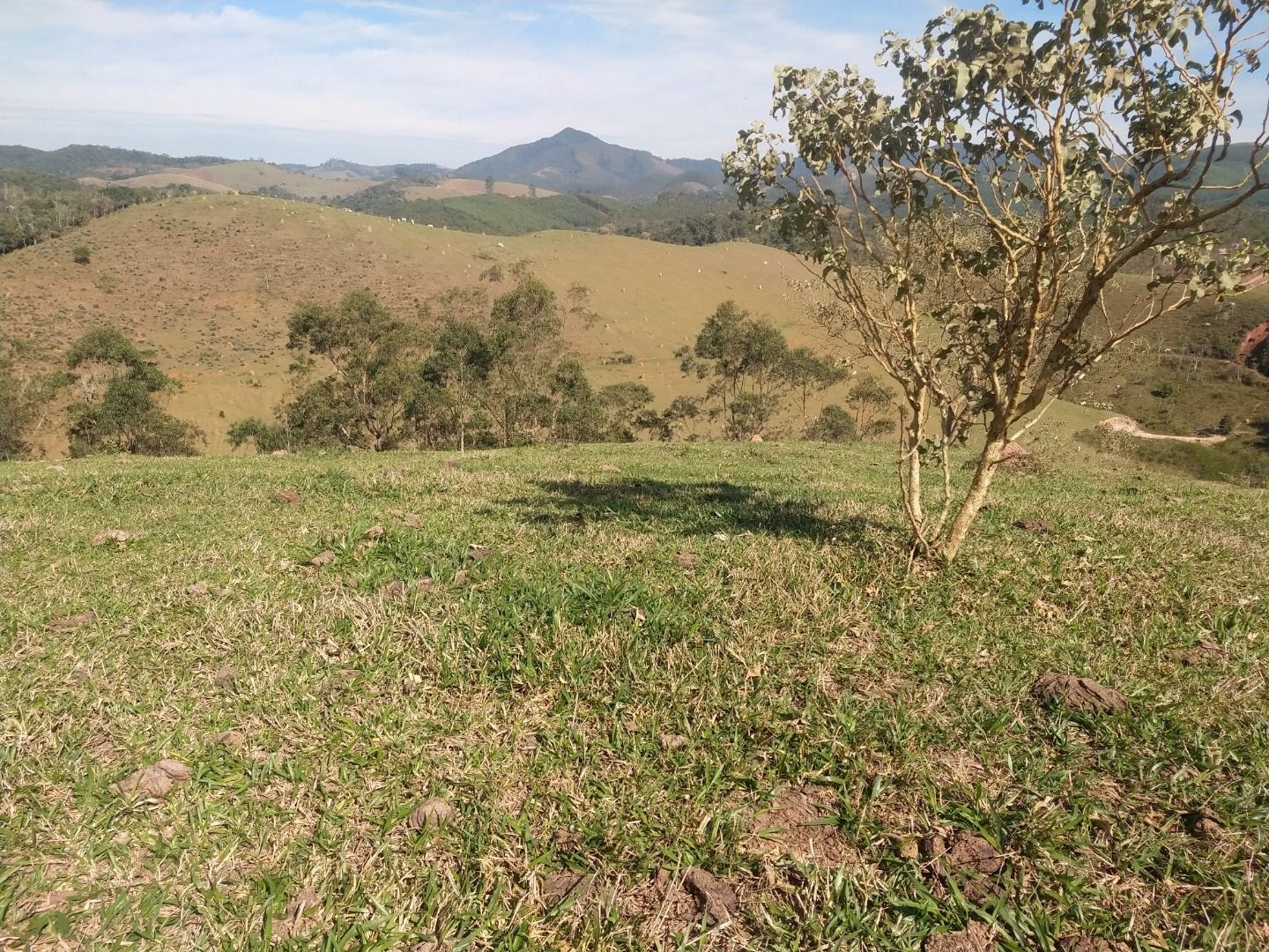 Fazenda, 150 m² - Foto 13