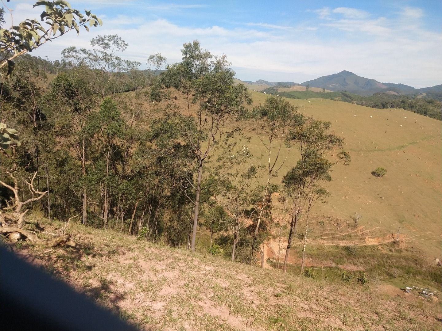 Fazenda, 150 m² - Foto 19