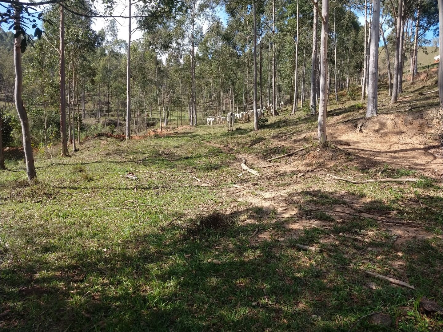 Fazenda, 150 m² - Foto 24