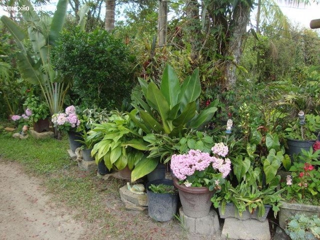 Chácara em Paraibuna/São Paulo — Ref 0NB58V — Imagem 56