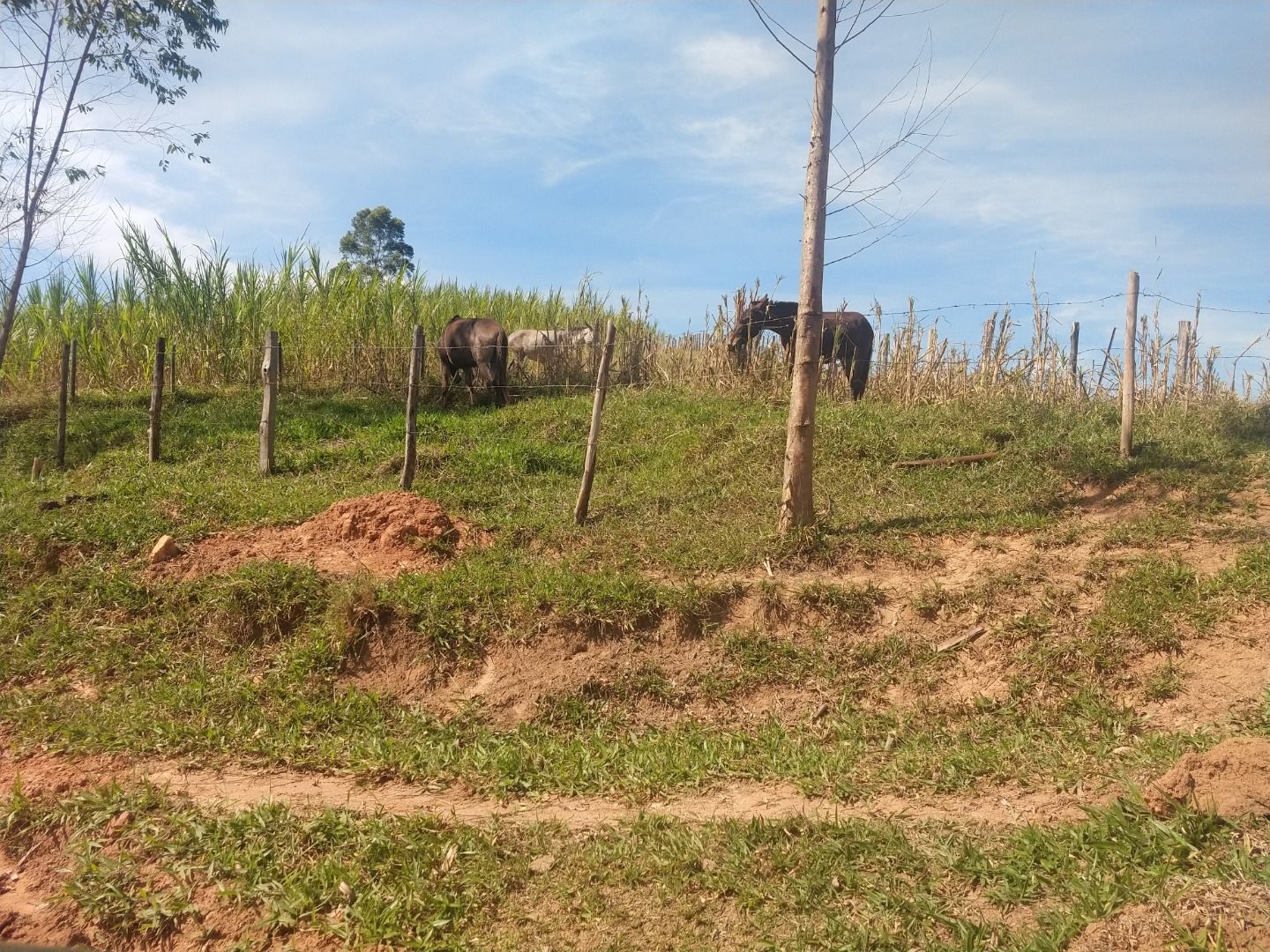 Fazenda, 150 m² - Foto 26