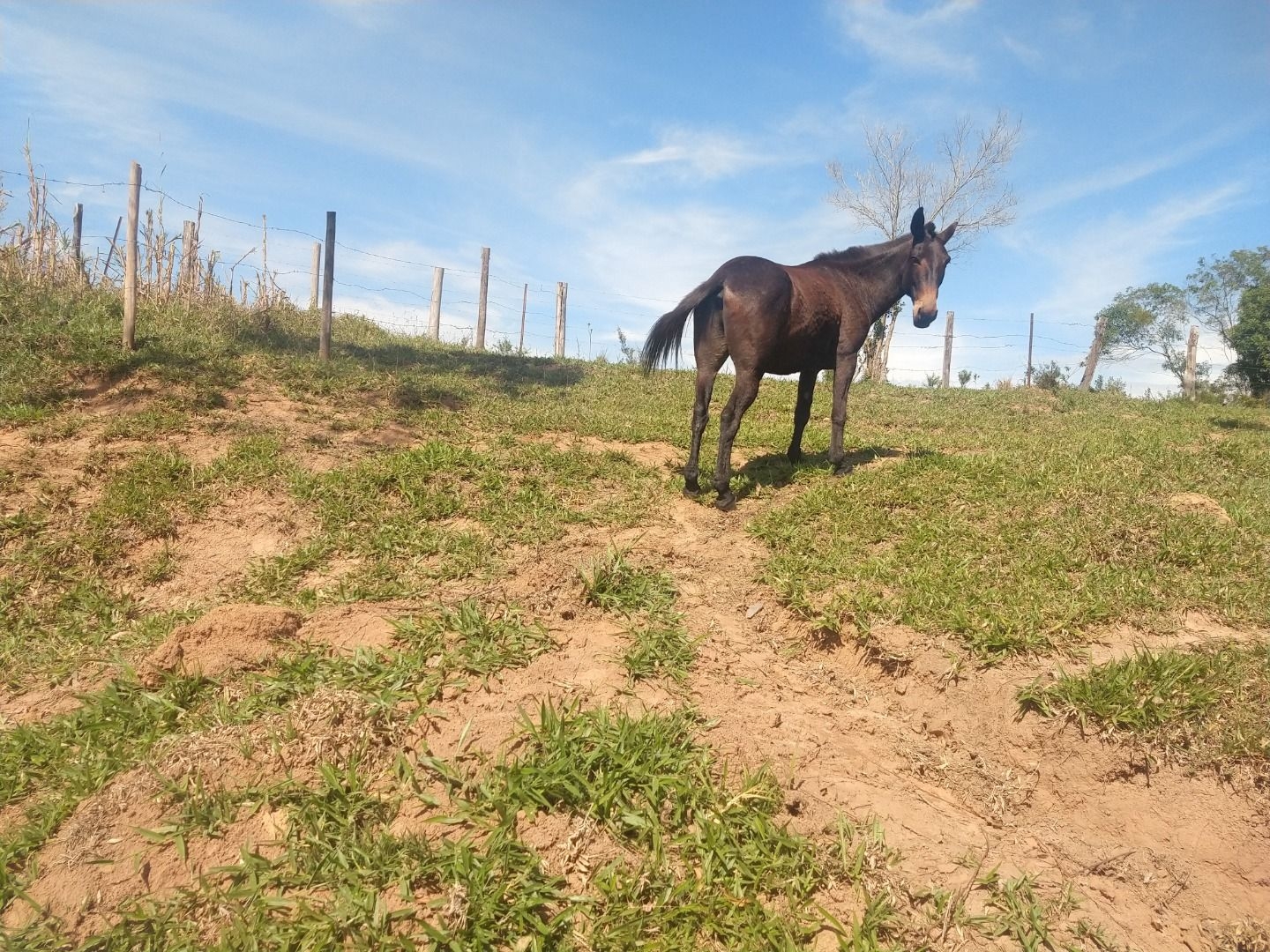 Fazenda, 150 m² - Foto 27