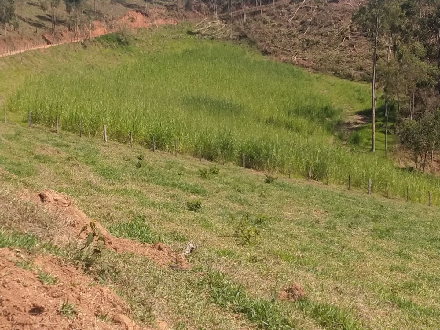 Fazenda, 150 m² - Foto 29