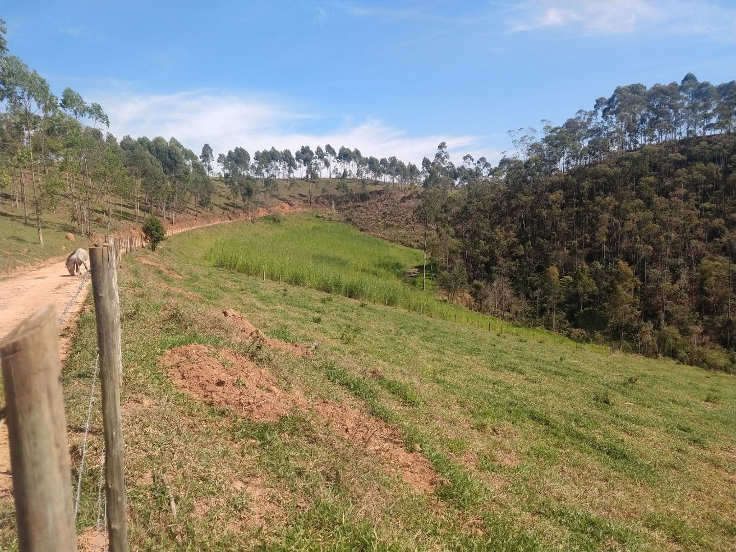 Fazenda, 150 m² - Foto 30