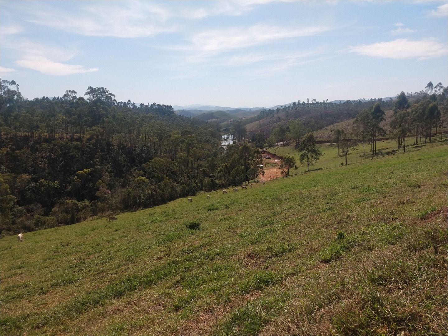 Fazenda, 150 m² - Foto 31