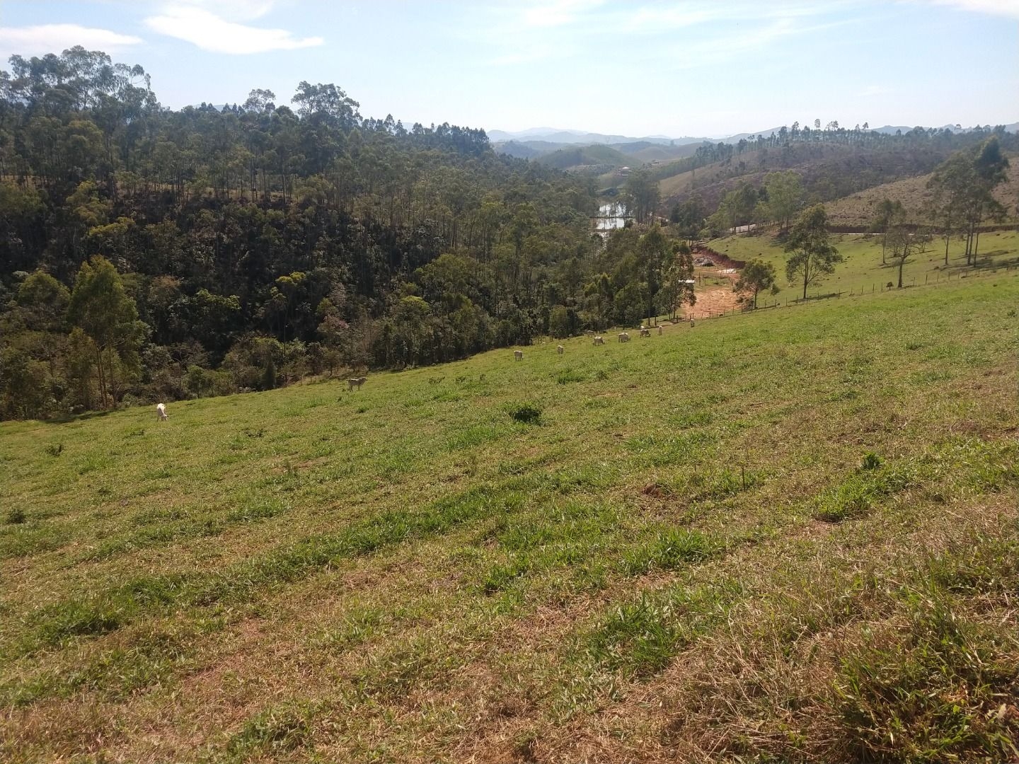 Fazenda, 150 m² - Foto 32