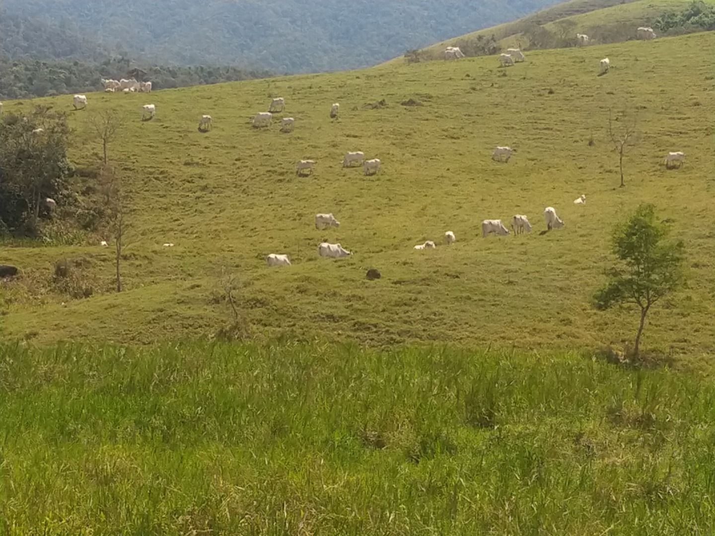 Fazenda, 150 m² - Foto 57