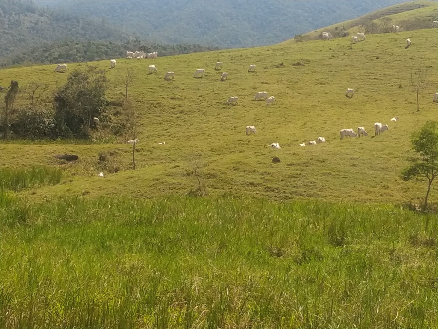 Fazenda, 150 m² - Foto 58