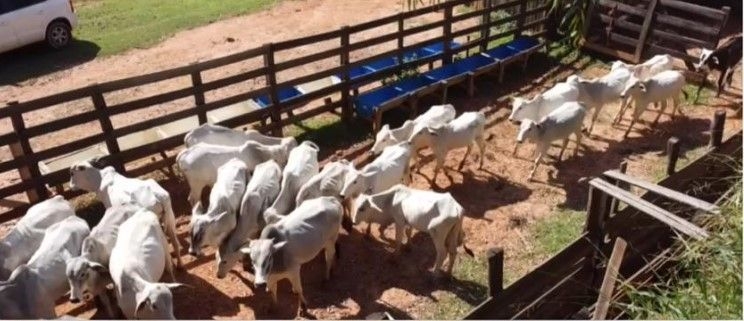 Fazenda, 150 m² - Foto 60