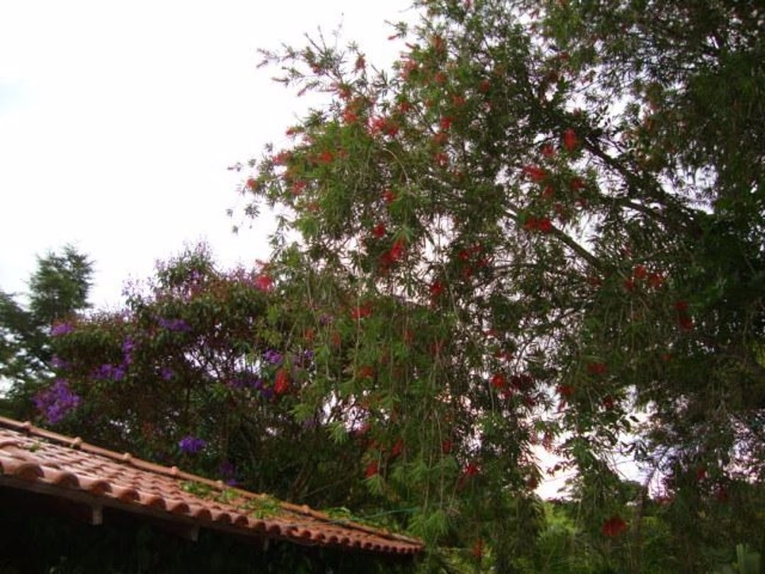 Chácara em Paraibuna/São Paulo — Ref 0NB58V — Imagem 54