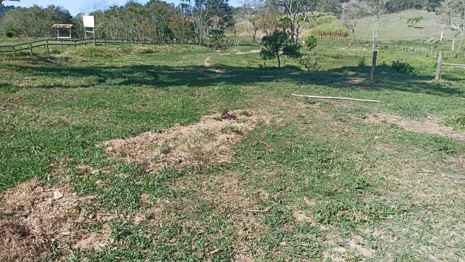 Chácara, 2 quartos, 5 hectares - Foto 2