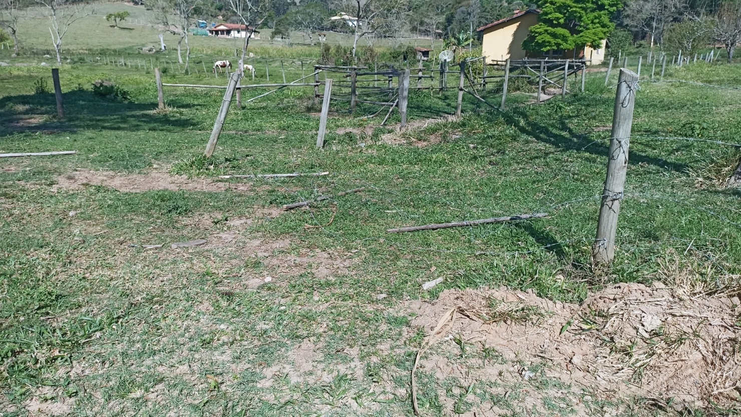 Chácara, 2 quartos, 5 hectares - Foto 3