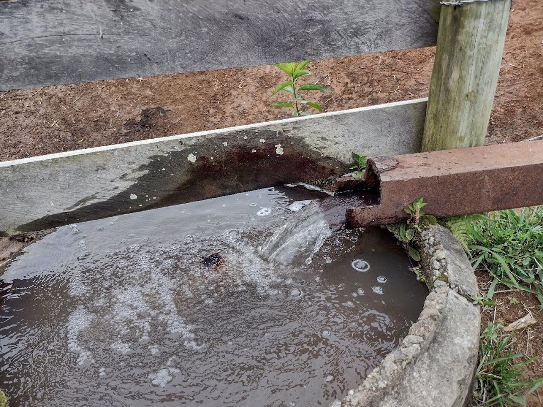 Sítio, 4 quartos, 100 m² - Foto 11