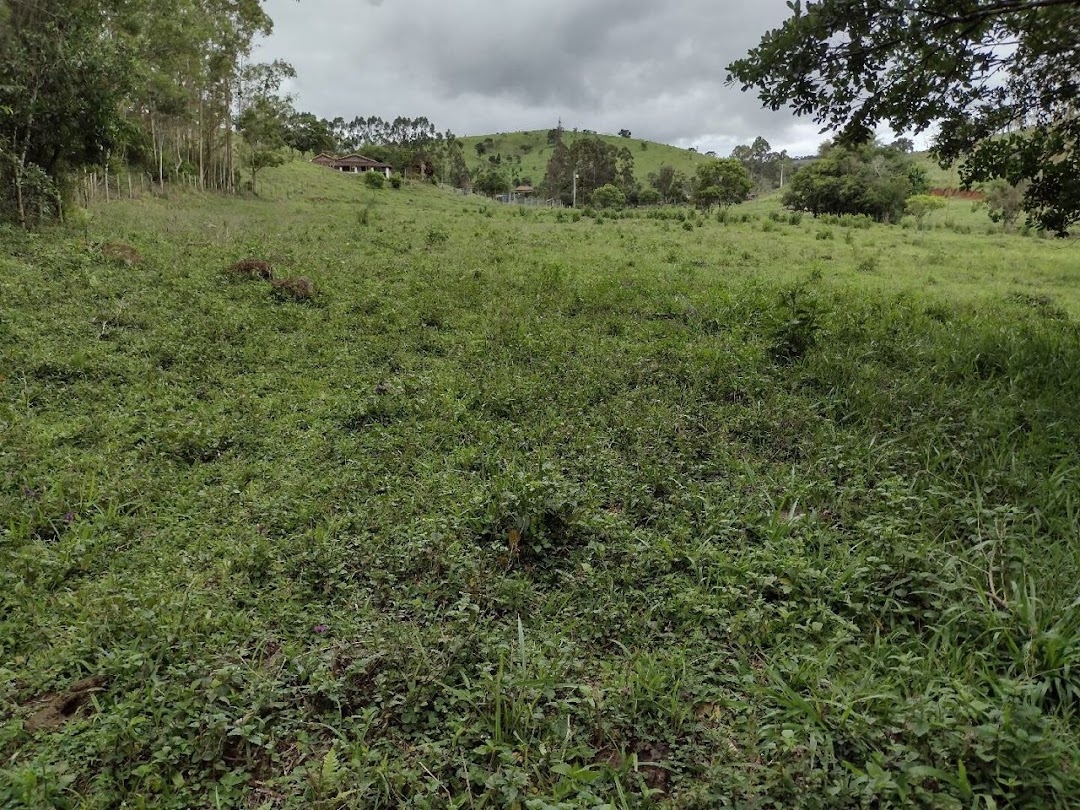 Sítio, 4 quartos, 100 m² - Foto 8