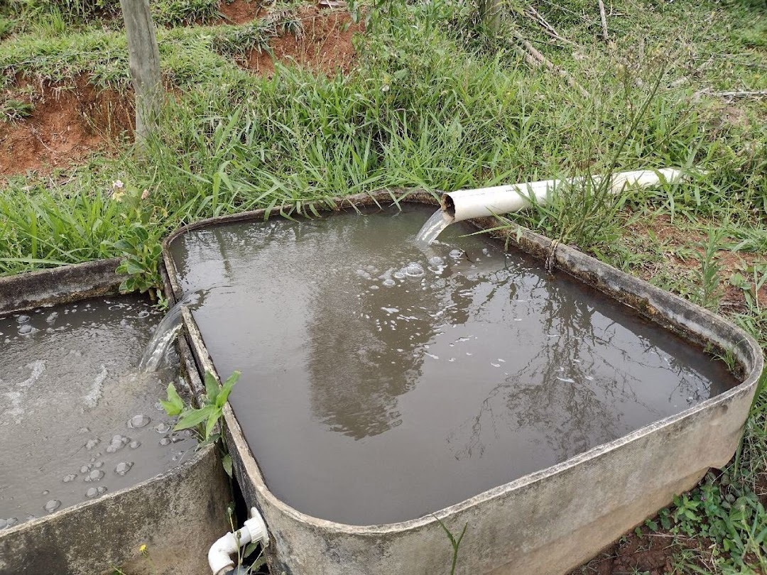 Sítio, 4 quartos, 100 m² - Foto 10